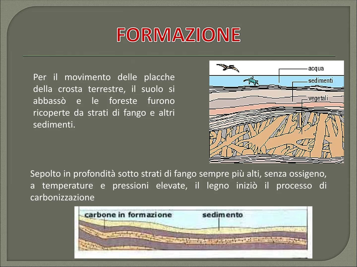 IL CARBONE CHE COS'E' CHE COS'E' ?
Il carbone è:
il combustibile fossile solido di origine vegetale
È il combustibile fossile più diffuso al