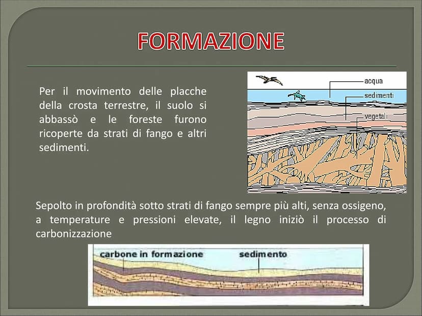IL CARBONE CHE COS'E' CHE COS'E' ?
Il carbone è:
il combustibile fossile solido di origine vegetale
È il combustibile fossile più diffuso al