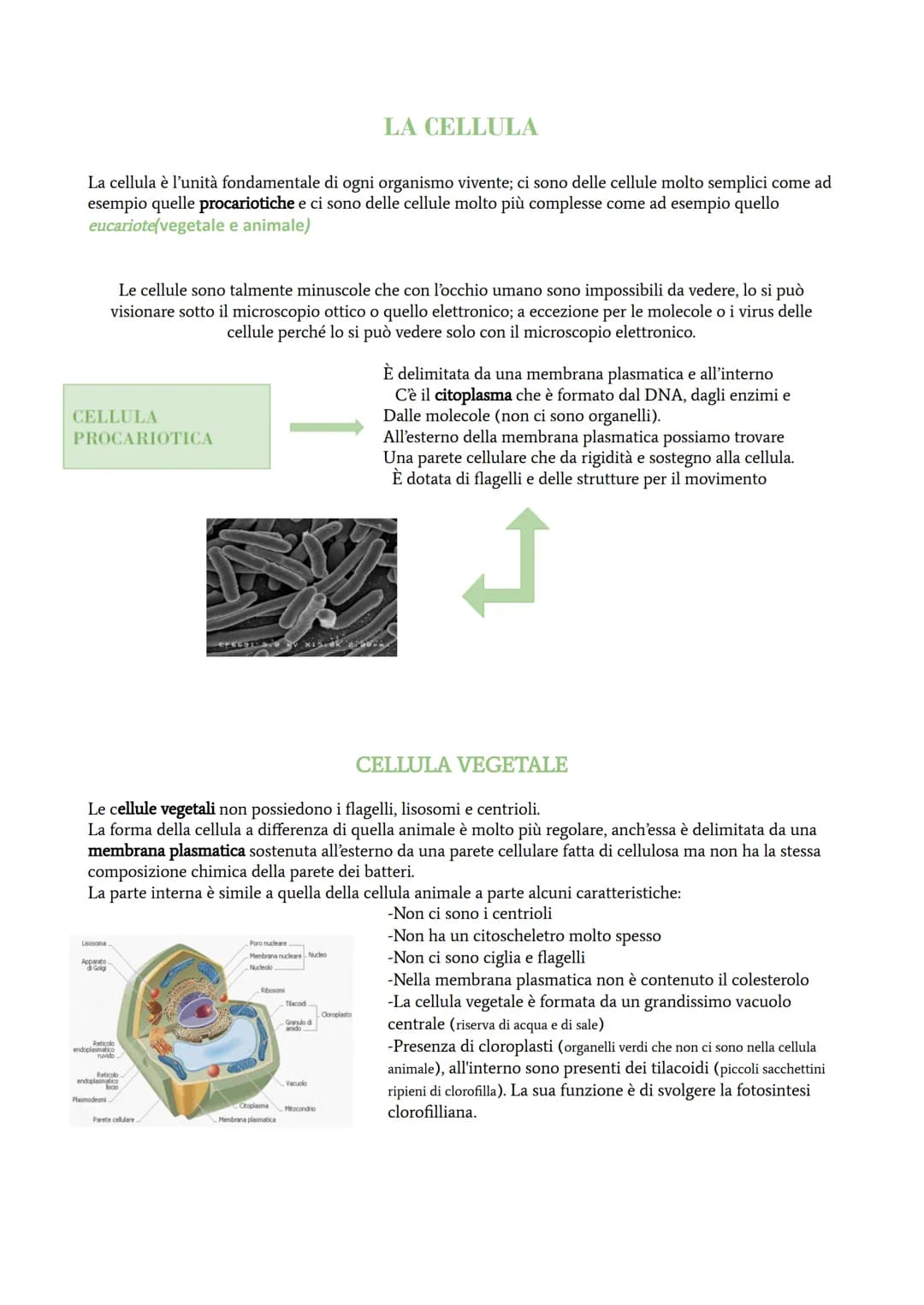 La cellula è l'unità fondamentale di ogni organismo vivente; ci sono delle cellule molto semplici come ad
esempio quelle procariotiche e ci 