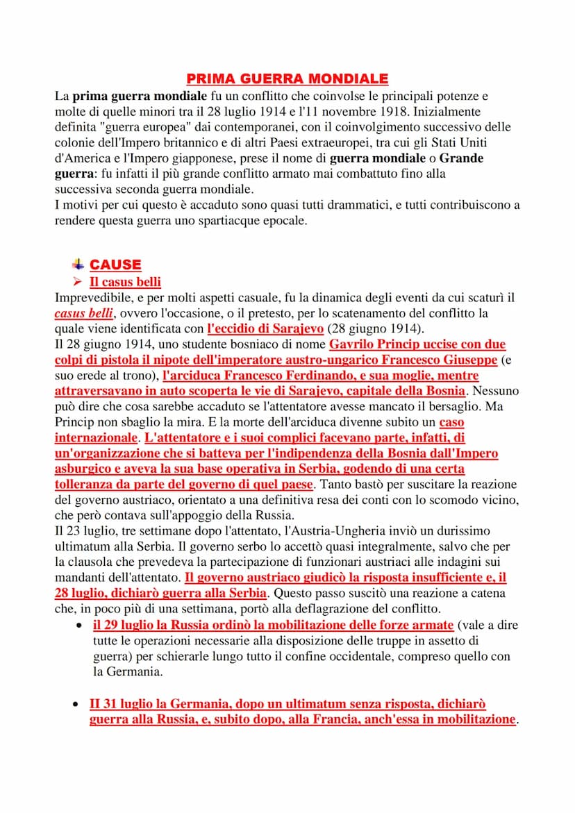 
<p>La prima guerra mondiale fu un conflitto che coinvolse le principali potenze e molte di quelle minori tra il 28 luglio 1914 e l'11 novem