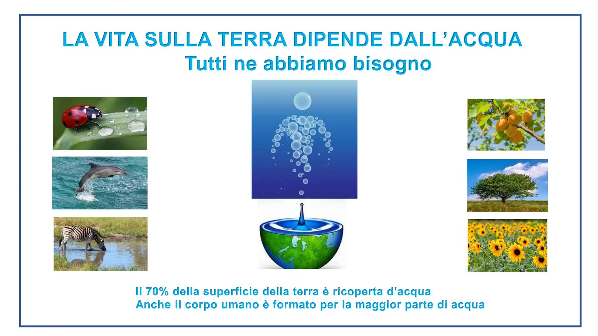 # ACQUA

L'acqua è la forza che ti tempra, nell'acqua ti ritrovi e ti rinnovi

Eugenio Montale # LA VITA SULLA TERRA DIPENDE DALL'ACQUA

Tut