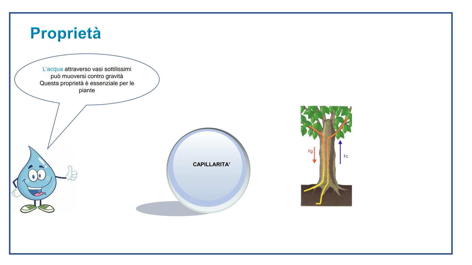 # ACQUA

L'acqua è la forza che ti tempra, nell'acqua ti ritrovi e ti rinnovi

Eugenio Montale # LA VITA SULLA TERRA DIPENDE DALL'ACQUA

Tut