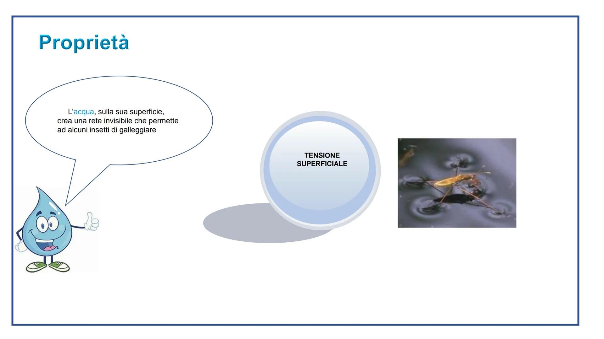 # ACQUA

L'acqua è la forza che ti tempra, nell'acqua ti ritrovi e ti rinnovi

Eugenio Montale # LA VITA SULLA TERRA DIPENDE DALL'ACQUA

Tut