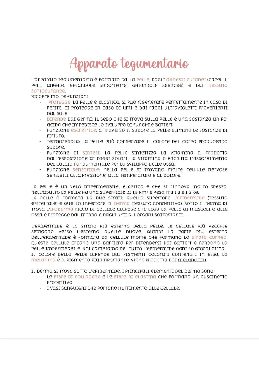 Apparato Tegumentario: Schema Facile e Riassunto per Scuola Media con Anatomia e Funzioni della Pelle