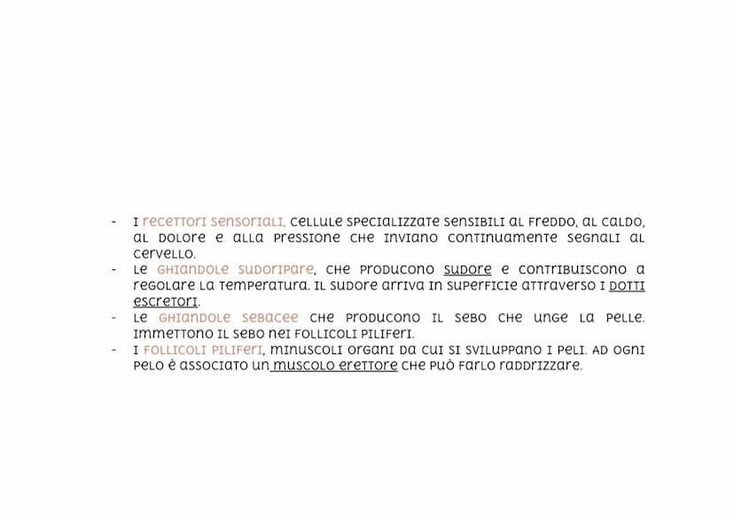 Apparato tegumentario
L'apparato TeGumentario è FormaTO DALLA PELLE, DAGLI annesSI CUTANEI (CAPELLI,
PELI, UNGHIе, GHIANDOLE SUDORIPare, GHI