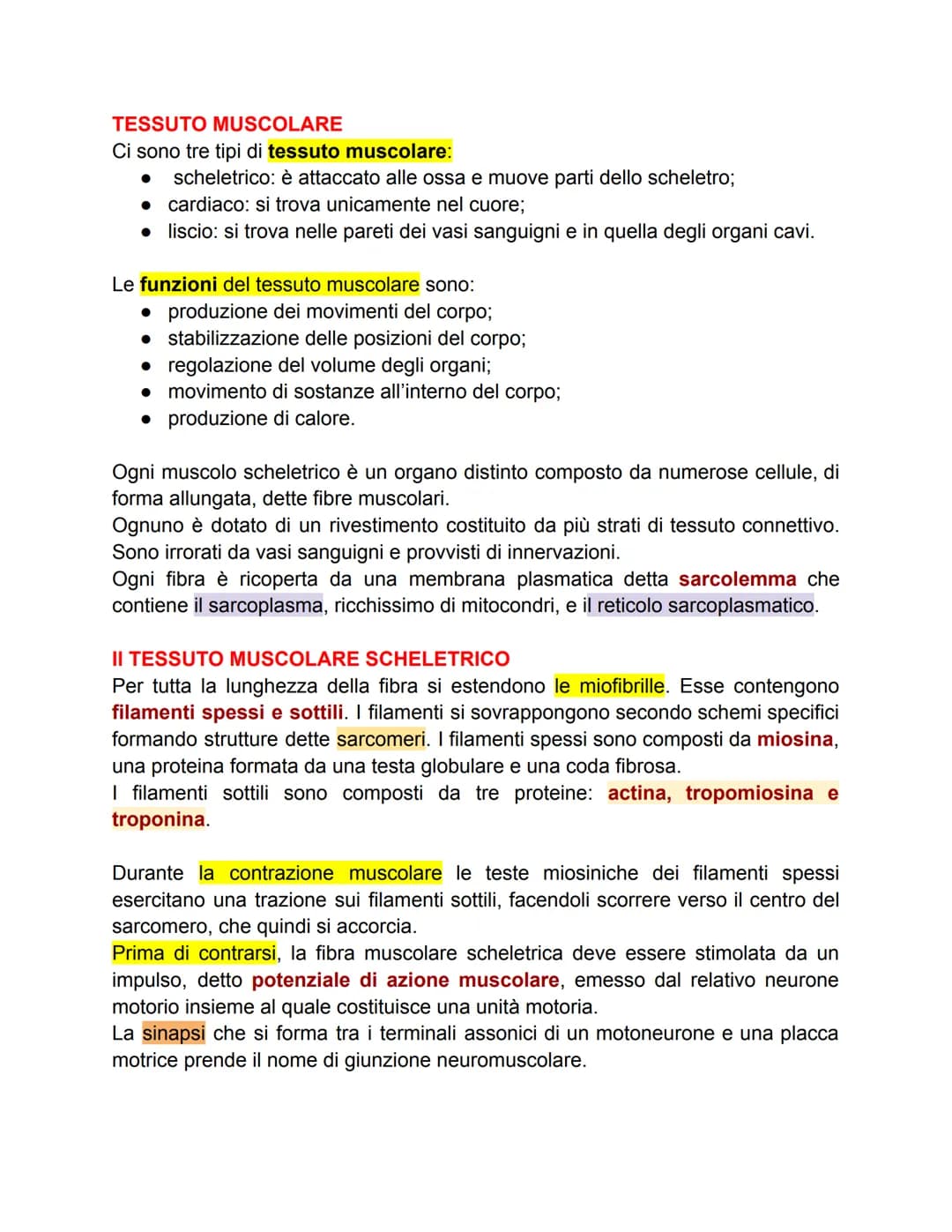 TESSUTO MUSCOLARE
Ci sono tre tipi di tessuto muscolare:
● scheletrico: è attaccato alle ossa e muove parti dello scheletro;
cardiaco: si tr