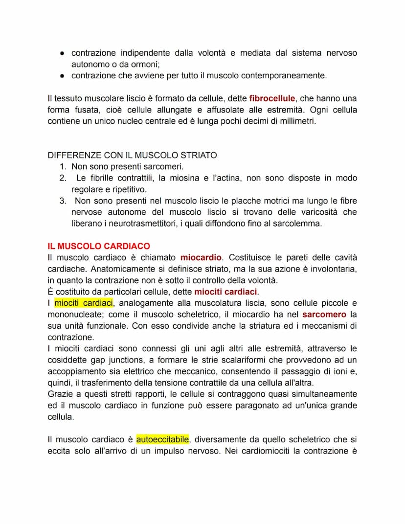 TESSUTO MUSCOLARE
Ci sono tre tipi di tessuto muscolare:
● scheletrico: è attaccato alle ossa e muove parti dello scheletro;
cardiaco: si tr