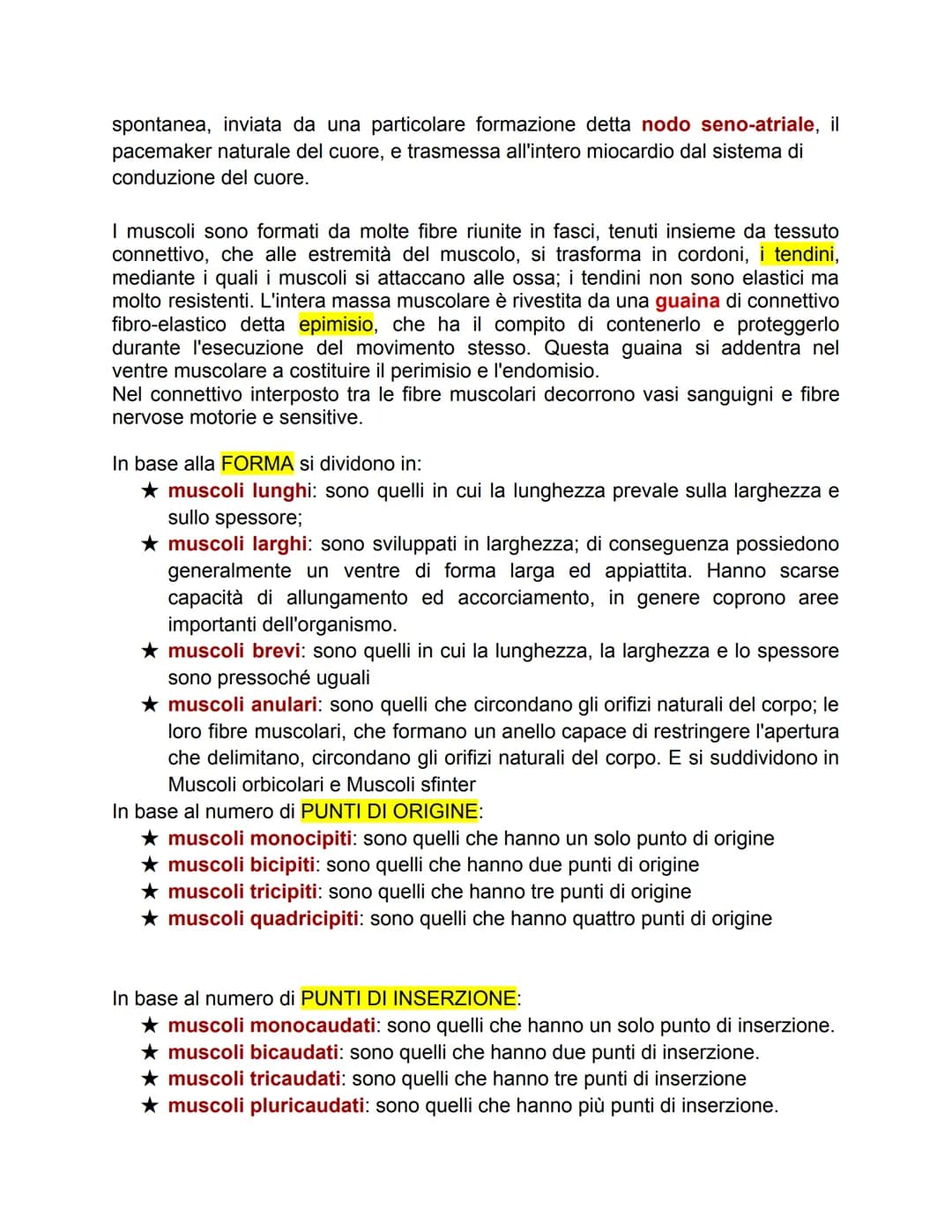 TESSUTO MUSCOLARE
Ci sono tre tipi di tessuto muscolare:
● scheletrico: è attaccato alle ossa e muove parti dello scheletro;
cardiaco: si tr