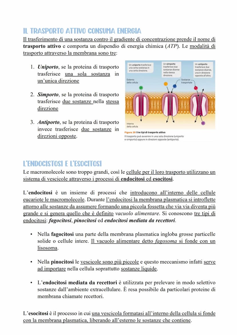 LE CELLULE SCAMBIANO SOSTANZE
CON L'ESTERNO
LE MEMBRANE CELLULARI SONO SEMIPERMEABILI
Per poter svolgere le reazioni metaboliche le cellule 