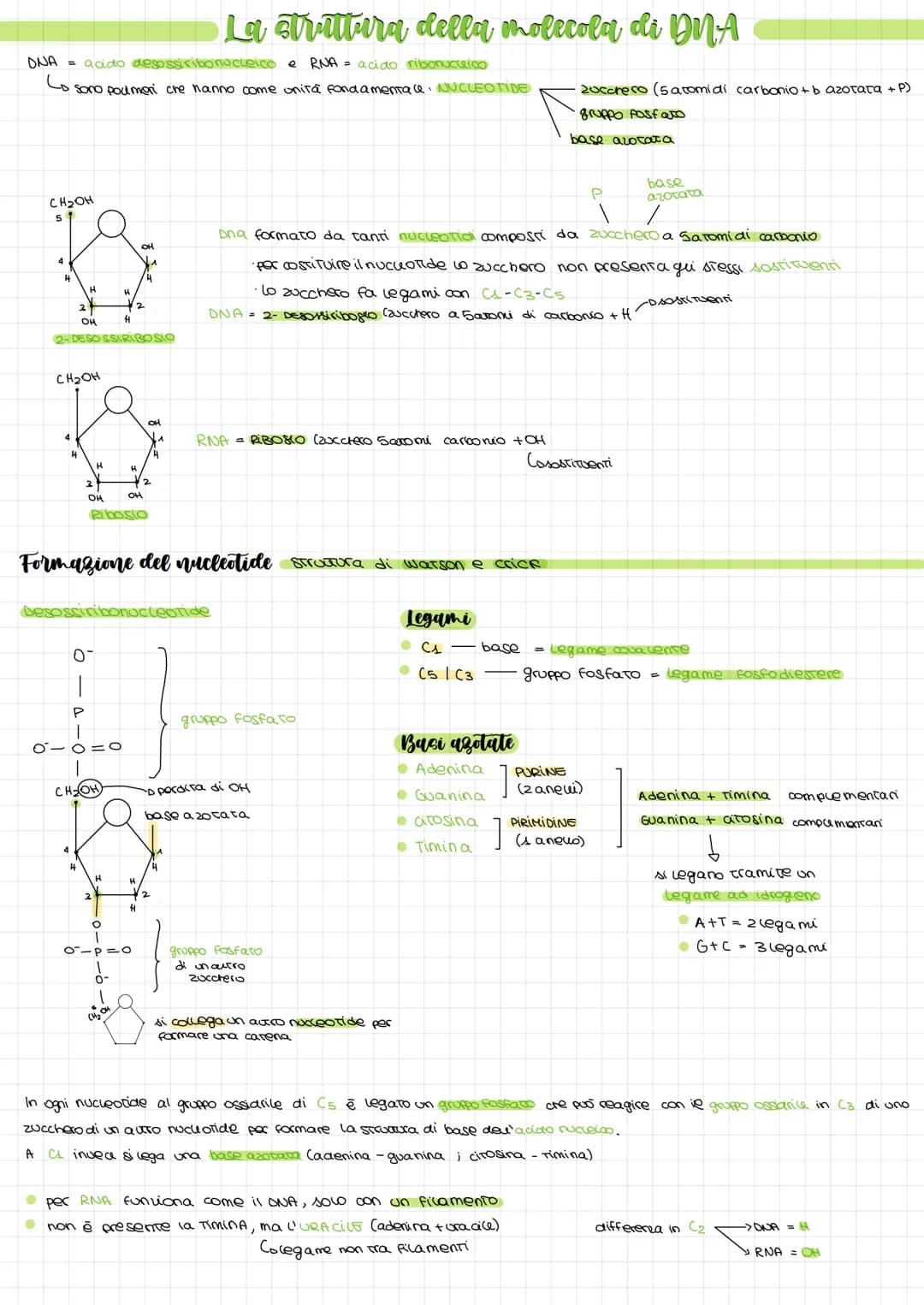 ONA = acido desossiribonucleico e RNA = acido ribonucleico
Lo sono poumeri che hanno come unità fondamentale. NUCLEOTIDE
CH₂OH
5
14
H
2- DES