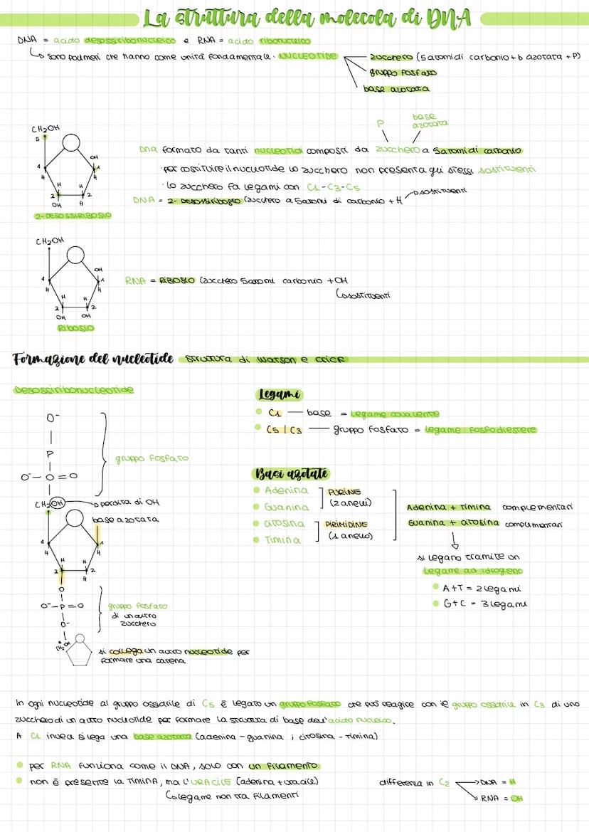ONA = acido desossiribonucleico e RNA = acido ribonucleico
Lo sono poumeri che hanno come unità fondamentale. NUCLEOTIDE
CH₂OH
5
14
H
2- DES