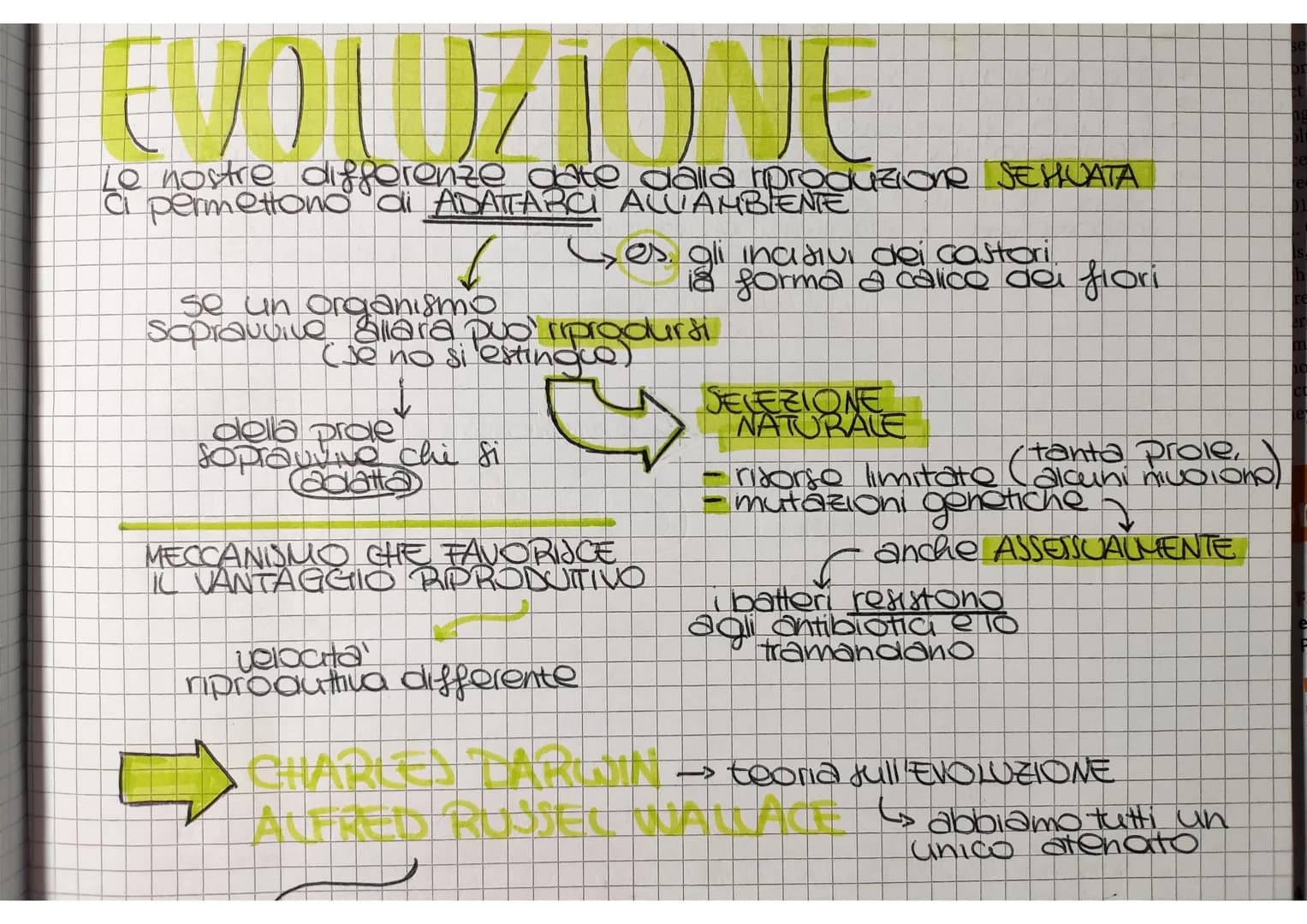 - li
Le nostre differenze date dalla riproduzione SEHUATA
Ges. gli incisivi dei castori
flori
se un organismo
sopravvive
allara può riprodur