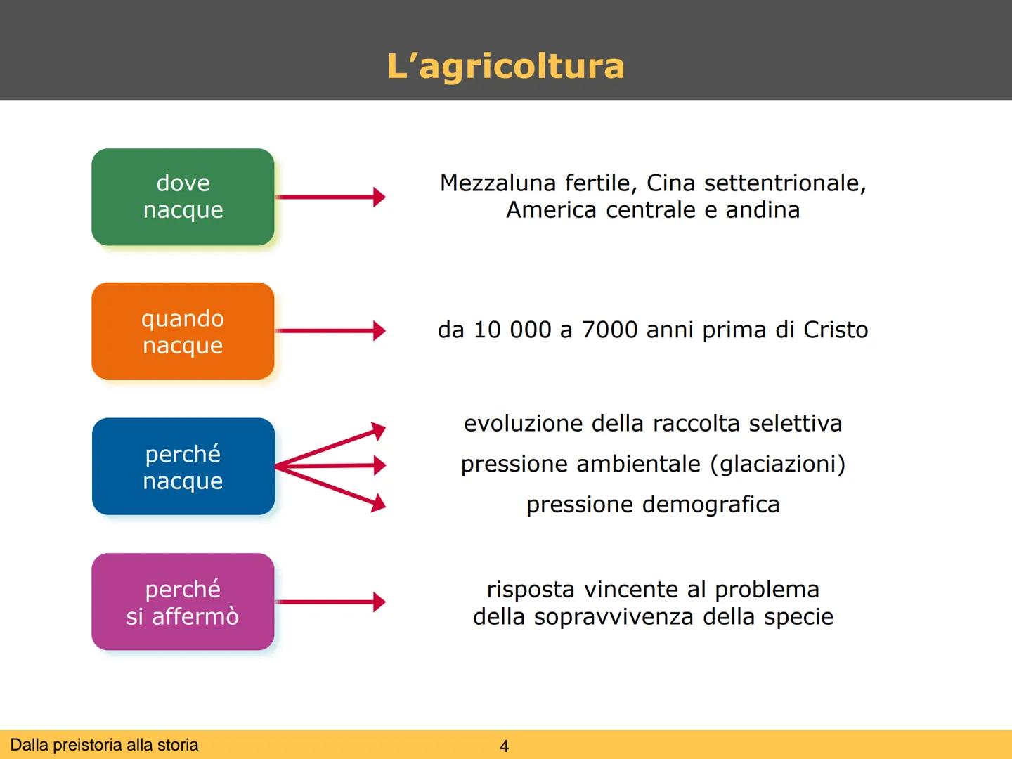 # Dalla preistoria alla storia

1 # Preistoria e storia, una distinzione convenzionale

ordine dei
primati

processo di
ominazione

65 milio