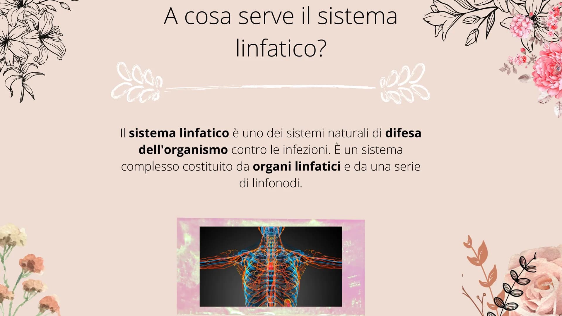 timo
**
tonsille
dotto
toracico
milza
- linfonodi
linfonodi
Sistema linfatico
8888880
Ganglios linfáticos Che cos'è il sistema
linfatico?
Il