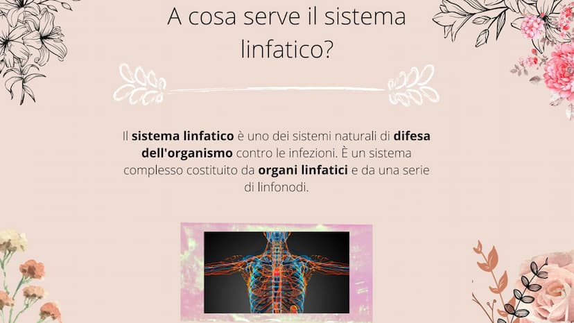 timo
**
tonsille
dotto
toracico
milza
- linfonodi
linfonodi
Sistema linfatico
8888880
Ganglios linfáticos Che cos'è il sistema
linfatico?
Il