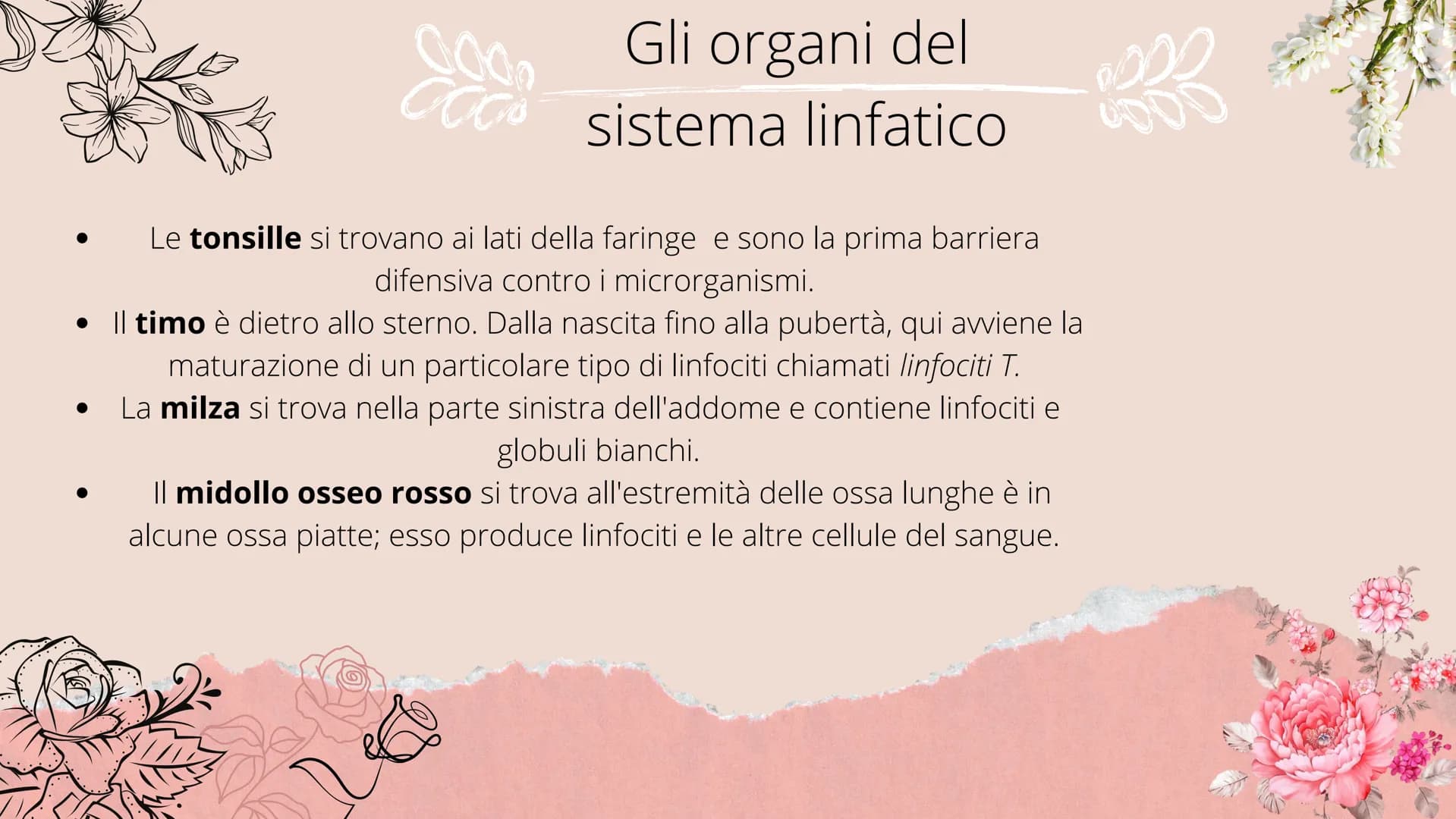 timo
**
tonsille
dotto
toracico
milza
- linfonodi
linfonodi
Sistema linfatico
8888880
Ganglios linfáticos Che cos'è il sistema
linfatico?
Il