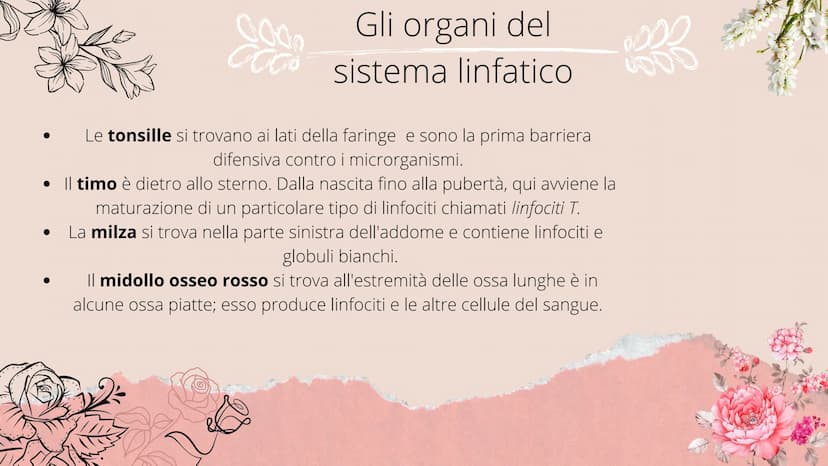 timo
**
tonsille
dotto
toracico
milza
- linfonodi
linfonodi
Sistema linfatico
8888880
Ganglios linfáticos Che cos'è il sistema
linfatico?
Il