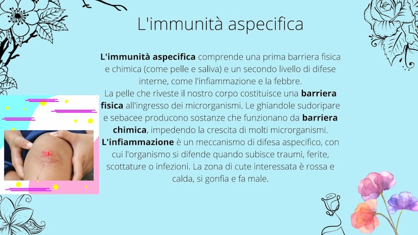 timo
**
tonsille
dotto
toracico
milza
- linfonodi
linfonodi
Sistema linfatico
8888880
Ganglios linfáticos Che cos'è il sistema
linfatico?
Il