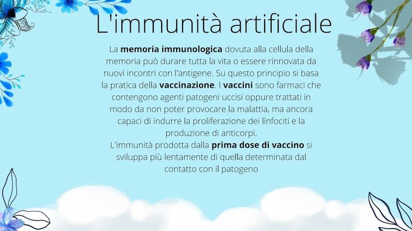 timo
**
tonsille
dotto
toracico
milza
- linfonodi
linfonodi
Sistema linfatico
8888880
Ganglios linfáticos Che cos'è il sistema
linfatico?
Il