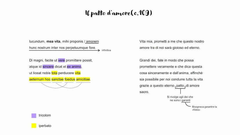 <<grazioso»>
stile
Novità
dell'opera
lepidum novum libellum
lepidum
Cui dono
arida modo pumice expolitum ?
Quare habe tibi quicquid hoc libe
