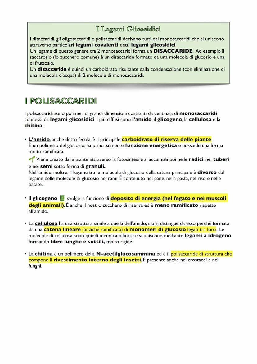 I Carboidrati
I carboidrati, o glucidi o zuccheri sono dei composti organici formati da atomi di carbonio,
idrogeno e ossigeno, presenti in 