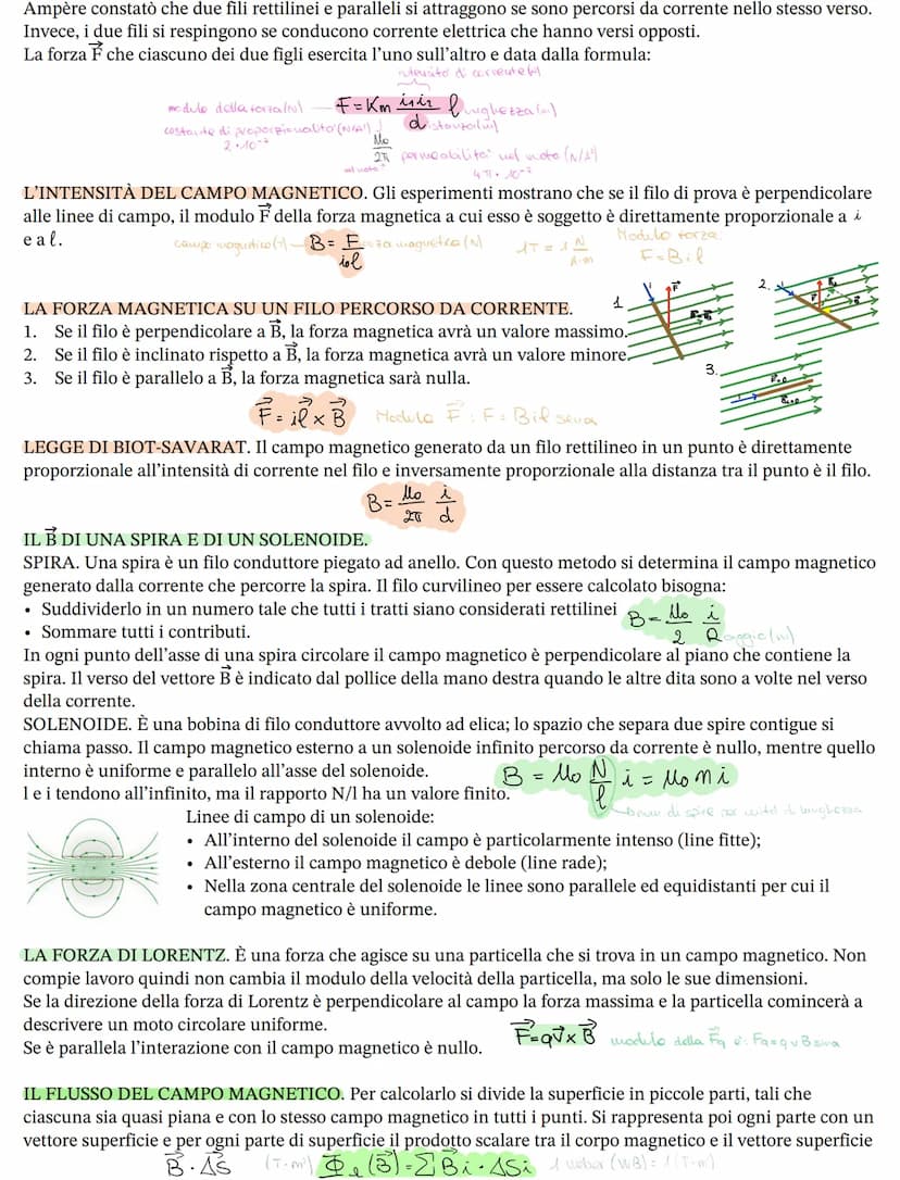 I materiali che possono essere magnetizzati sono detti materiali ferro magnetici.
Ogni magnete a un polo nord e un polo sud.
■ due poli nord