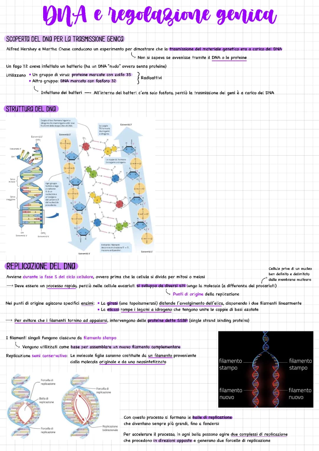 DNA e regolazione genica