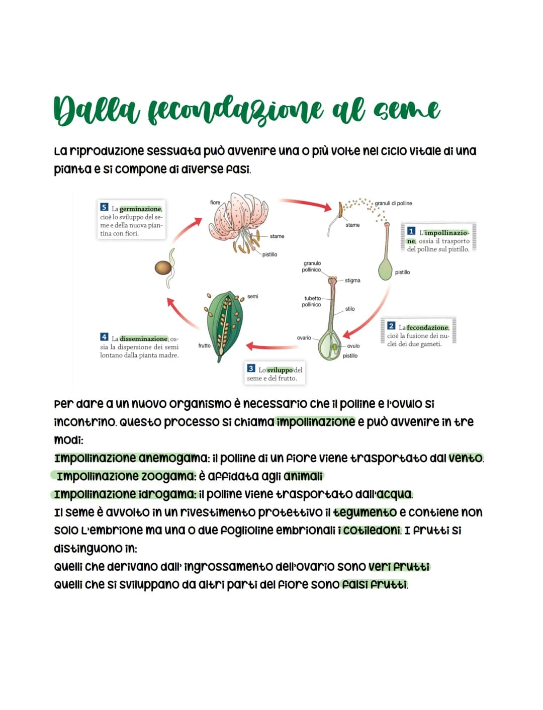 La Riproduzione delle Piante: Schema, Metodi e Riassunto