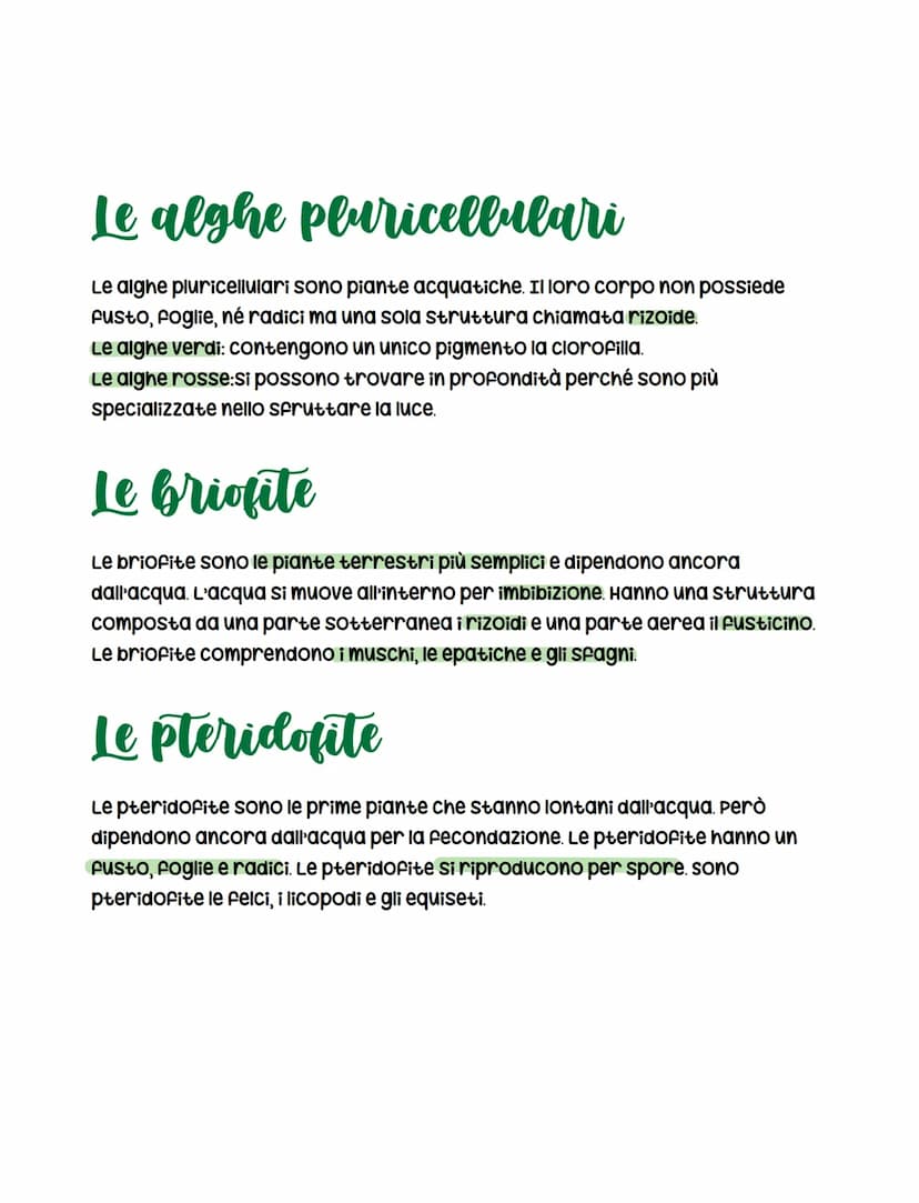 
<h2 id="metodidiriproduzionedellepiante">Metodi di riproduzione delle piante</h2>
<p>Le piante hanno la capacità di riprodursi attraverso d