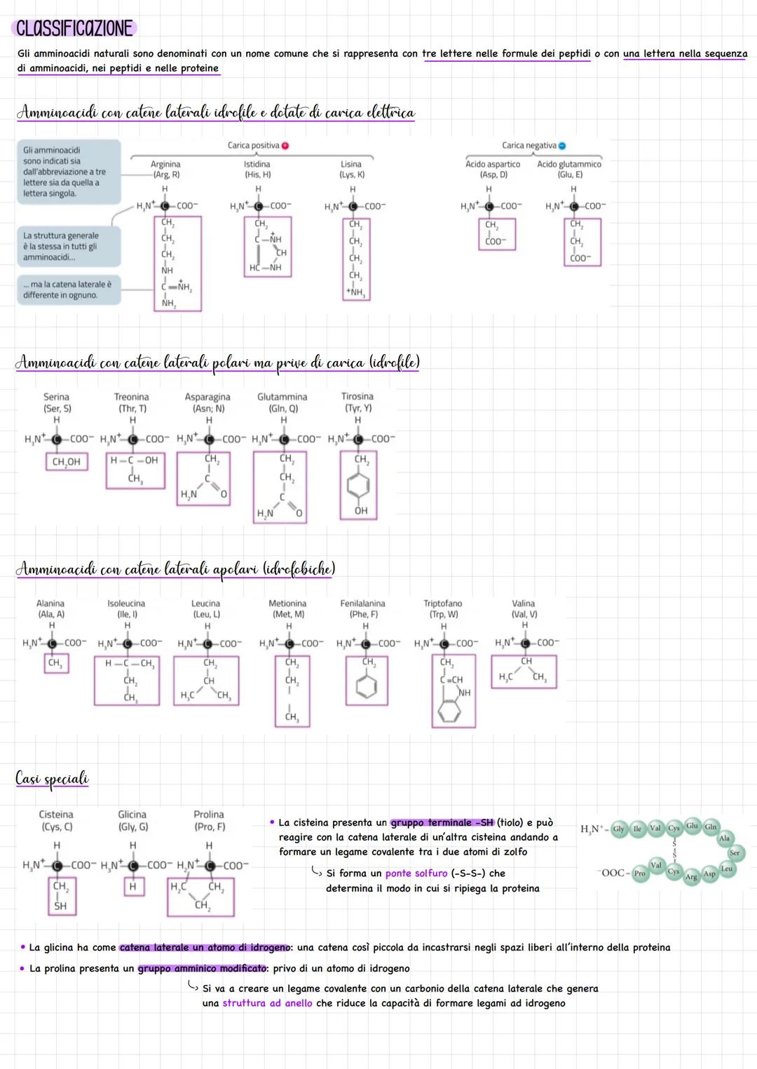 AMMINOACIDI
Gli amminoacidi rappresentano i monomeri dei peptidi e delle proteine
Amminoacidi e proteine
Sono composti che contengono sia il