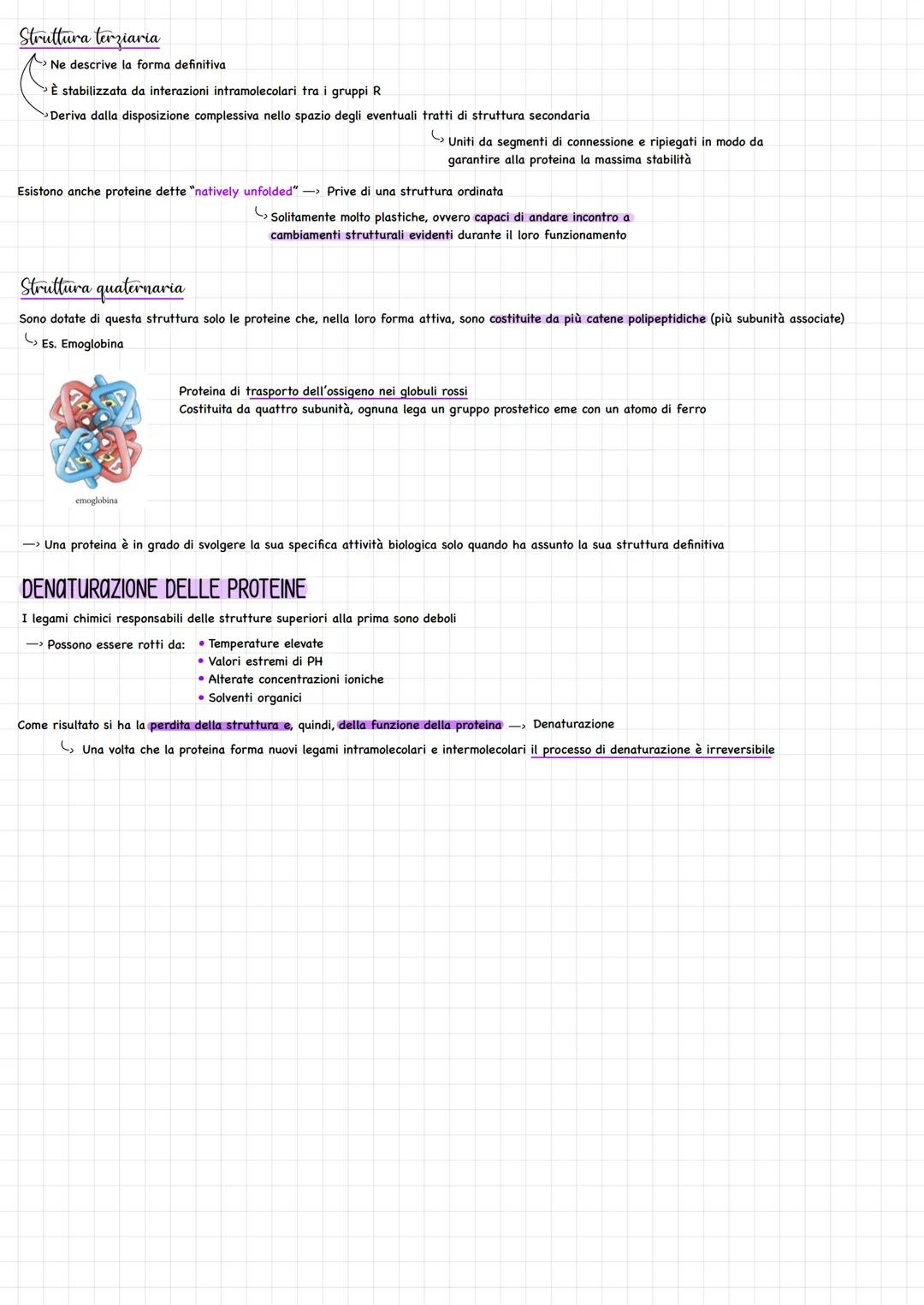 AMMINOACIDI
Gli amminoacidi rappresentano i monomeri dei peptidi e delle proteine
Amminoacidi e proteine
Sono composti che contengono sia il