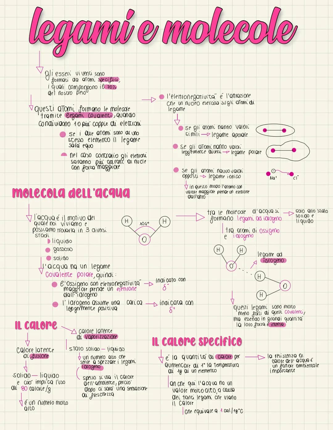 legami e molecole
gli esseri vivenci sono
formati da atomi specifici,
de un comen
i quali componpono il 70%
questi atomi formano le molecole