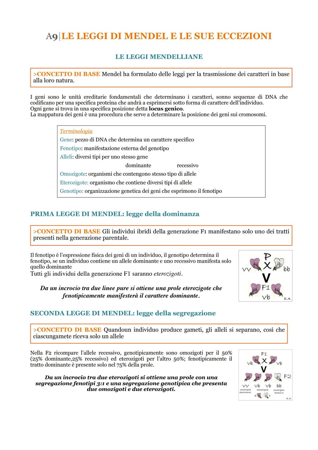 A9 LE LEGGI DI MENDEL E LE SUE ECCEZIONI
LE LEGGI MENDELLIANE
>CONCETTO DI BASE Mendel ha formulato delle leggi per la trasmissione dei cara