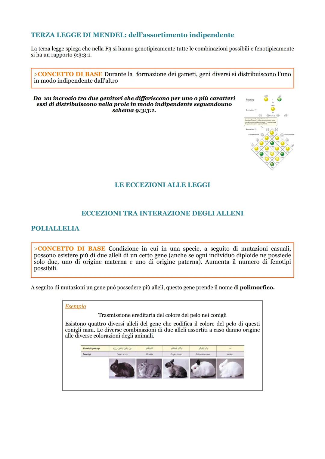 A9 LE LEGGI DI MENDEL E LE SUE ECCEZIONI
LE LEGGI MENDELLIANE
>CONCETTO DI BASE Mendel ha formulato delle leggi per la trasmissione dei cara