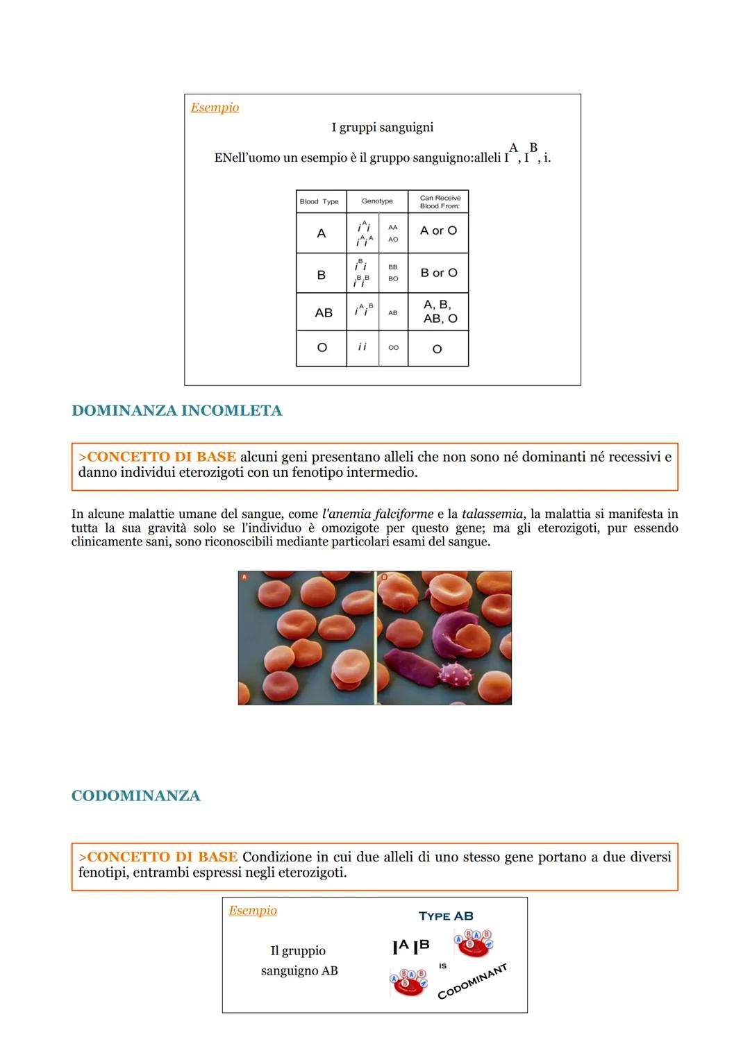 A9 LE LEGGI DI MENDEL E LE SUE ECCEZIONI
LE LEGGI MENDELLIANE
>CONCETTO DI BASE Mendel ha formulato delle leggi per la trasmissione dei cara
