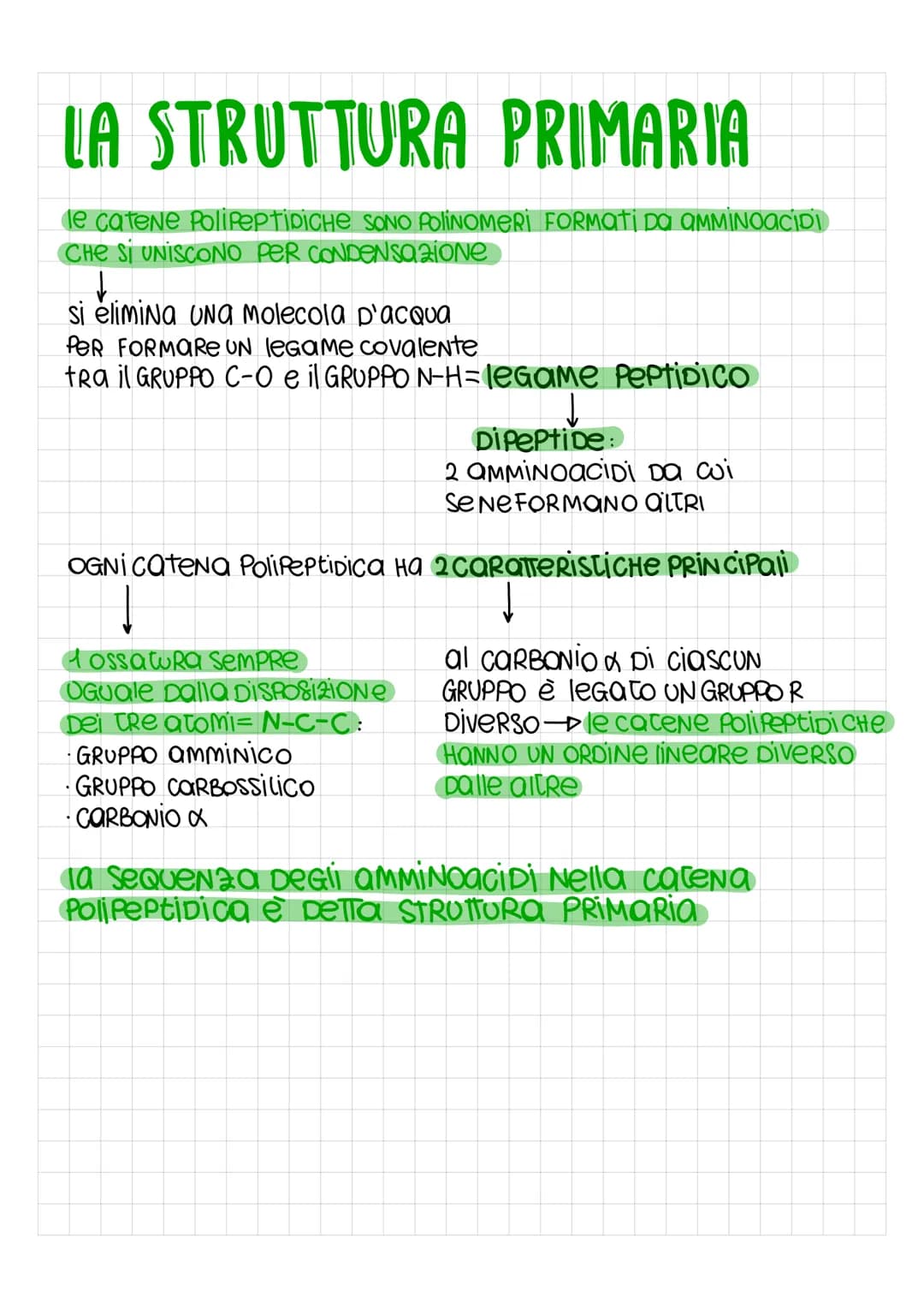 LE PROTEINE
SONO PoliNOMERI, FORMati Da MONOMERI DETTi amminoacidi, uniti con
legami covalenti PeR FORMARE LUNGHE Catene chiamate Polipeptid