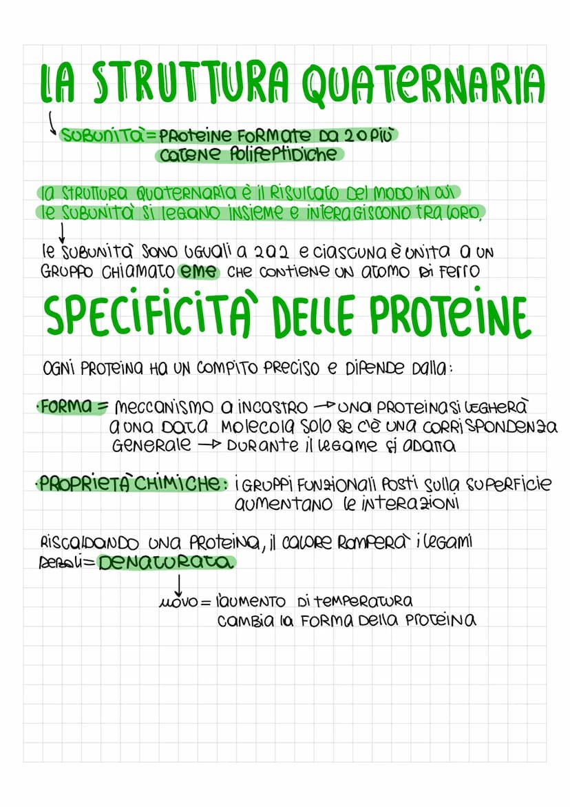 LE PROTEINE
SONO PoliNOMERI, FORMati Da MONOMERI DETTi amminoacidi, uniti con
legami covalenti PeR FORMARE LUNGHE Catene chiamate Polipeptid