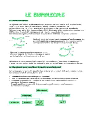 Know Biomolecole thumbnail