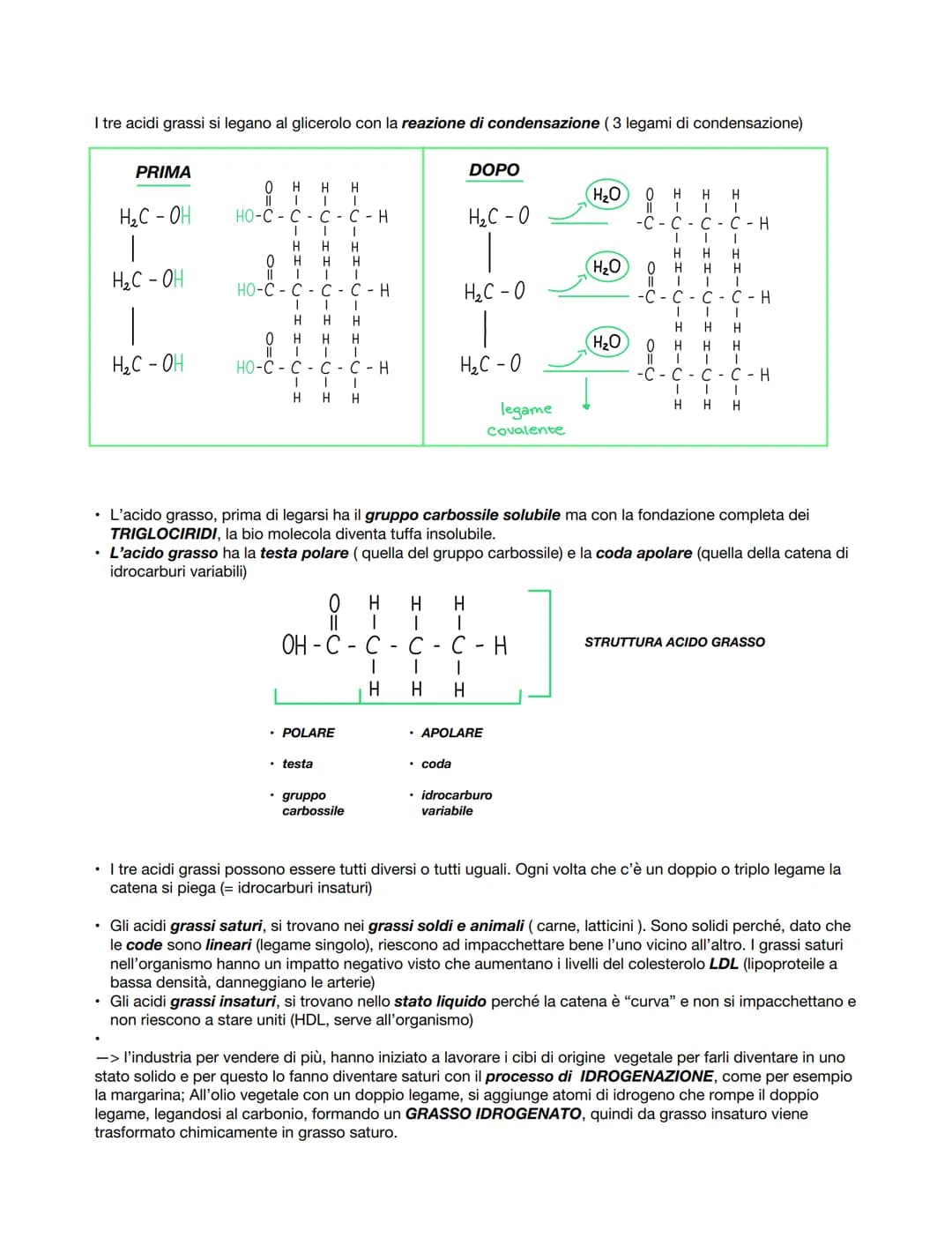 La chimica dei viventi
Gli organismi sono costituiti in gran parte da acqua, in quantità che vada circa dal 50 al 95% della massa
totale. Ol