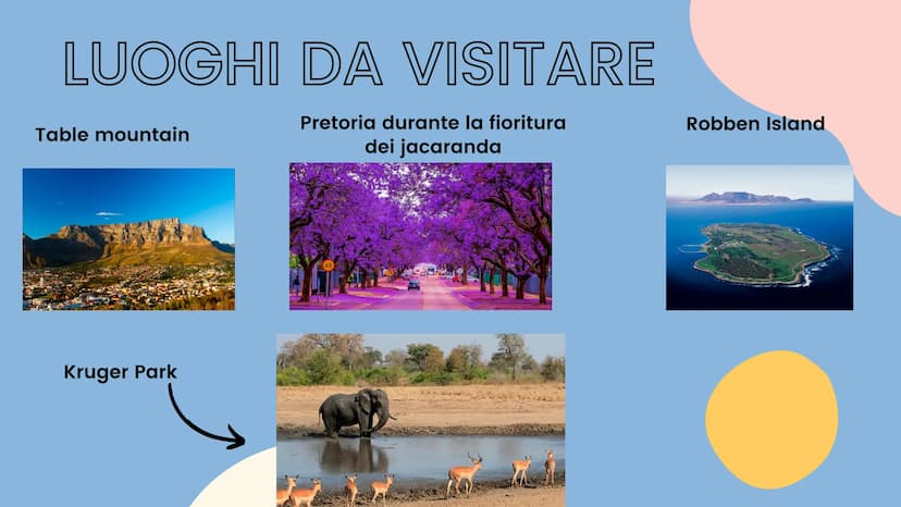 IL SUDAFRICA
ய C
Otjiwarongo
NAMIBIA
Namib
Okahandja
O
bib
HOEK
OO Damaraland
Walvis Bay
Rehoboth
Witvleioo
2479
Mariental
Maltahöhe
Buitepo