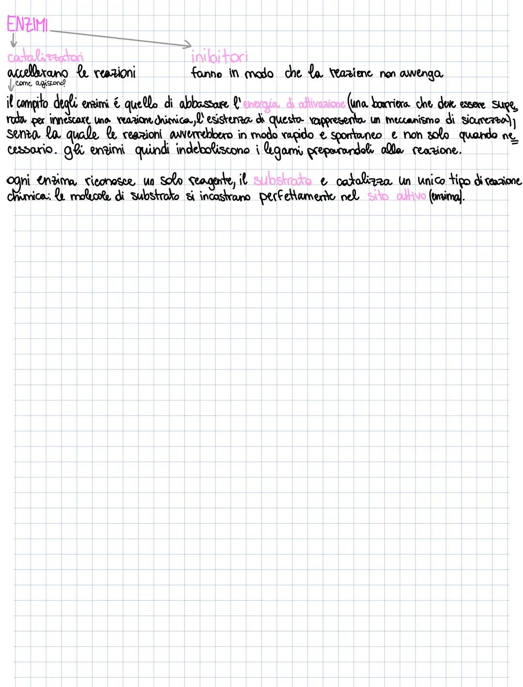 # METABOLISMO CELLULARE E ENZIMI

l'insieme di tutte le reazioni chimiche che avvengono nella cellula,
tutte le reazioni vengono facilitate 
