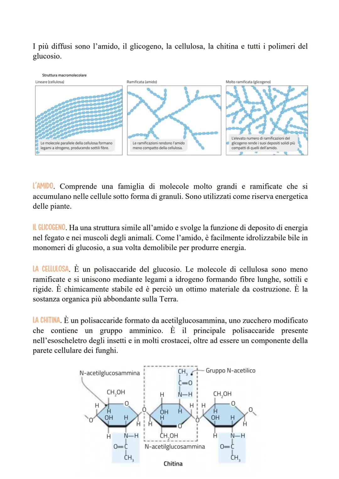 I CARBOIDRATI
LE CARATTERISTICHE E LE FUNZIONI DEI CARBOIDRATI
Le categorie di carboidrati biologicamente importanti sono quattro:
1. I mono