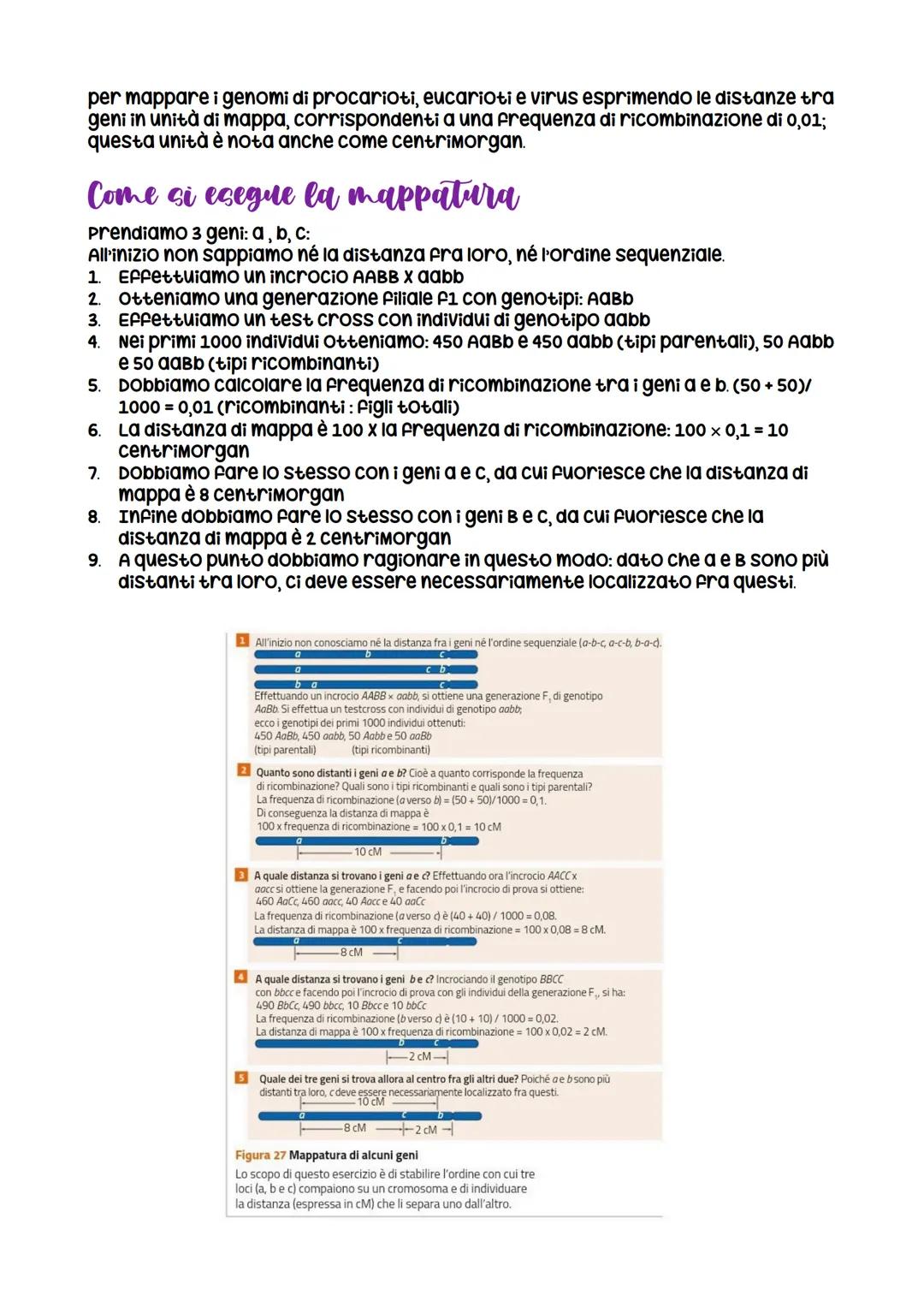 Da Mendel ai modelli di ereditarieta
nasce grazie a Mendel che formula
le leggi della
dominanza e della
segregazione
LEZIONE 1
verificabili
