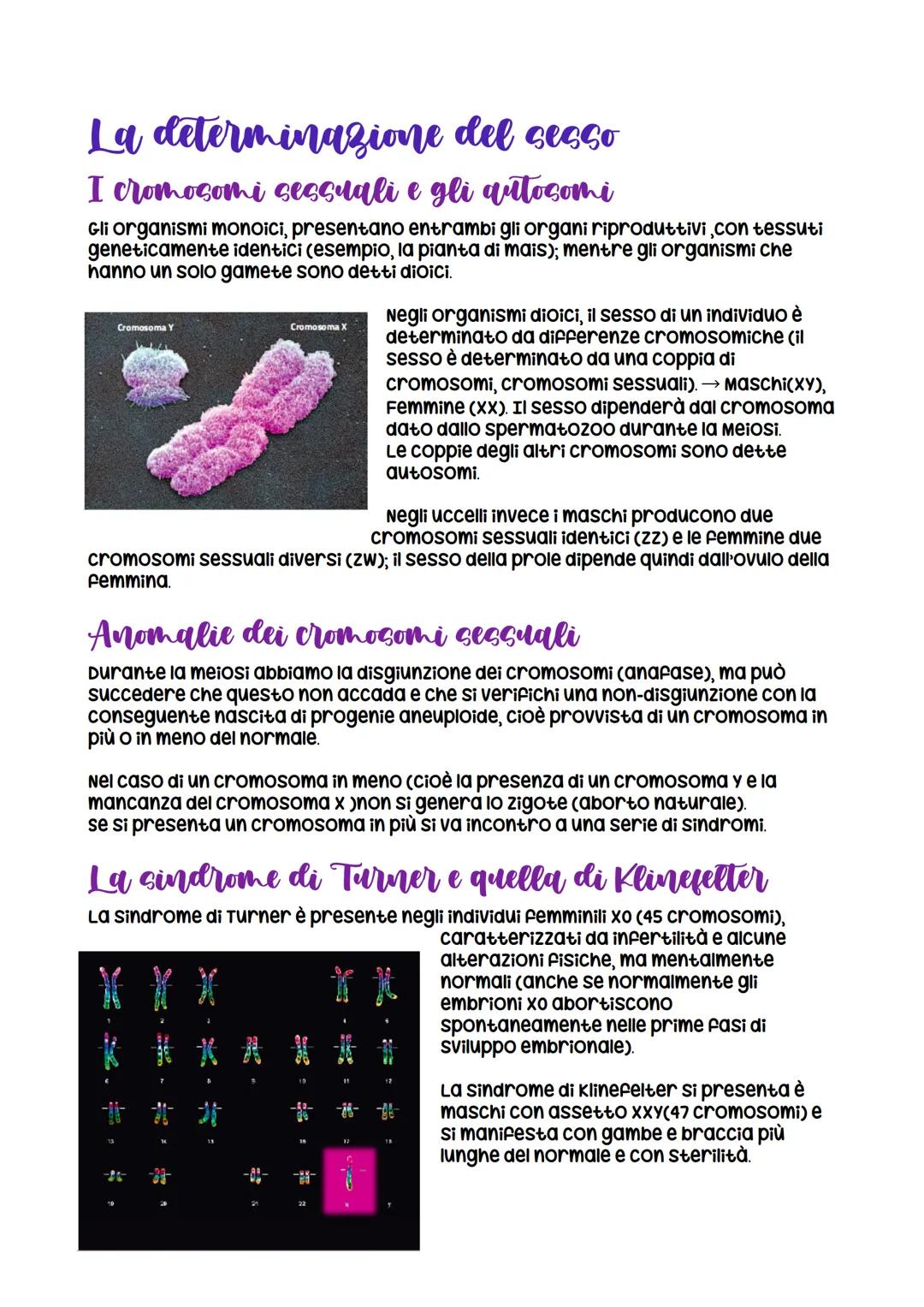 Da Mendel ai modelli di ereditarieta
nasce grazie a Mendel che formula
le leggi della
dominanza e della
segregazione
LEZIONE 1
verificabili
