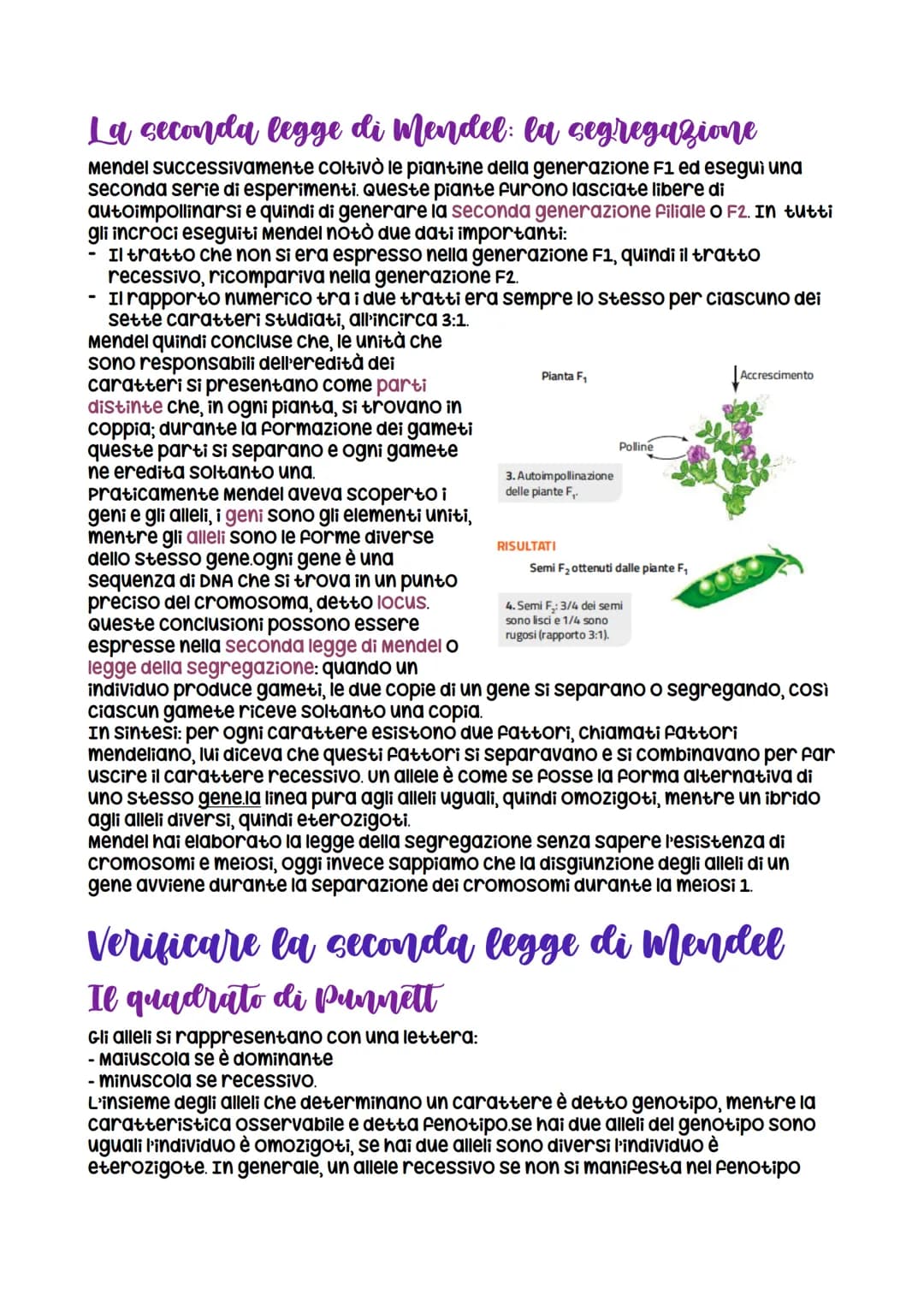 Da Mendel ai modelli di ereditarieta
nasce grazie a Mendel che formula
le leggi della
dominanza e della
segregazione
LEZIONE 1
verificabili
