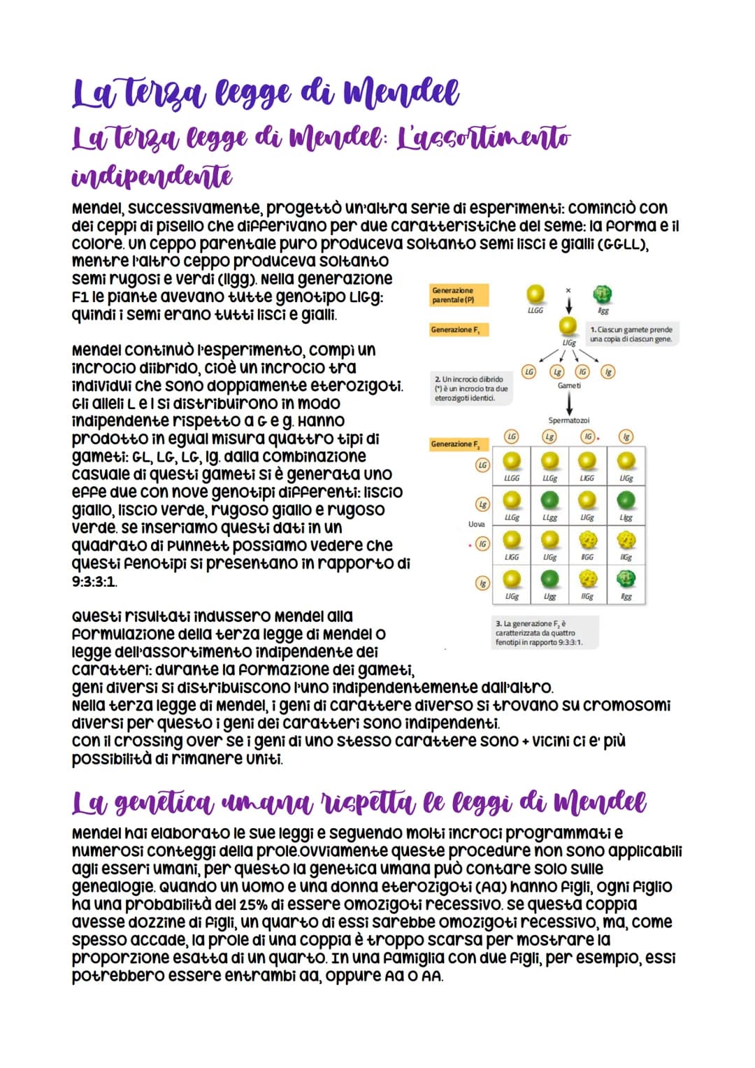 Da Mendel ai modelli di ereditarieta
nasce grazie a Mendel che formula
le leggi della
dominanza e della
segregazione
LEZIONE 1
verificabili
