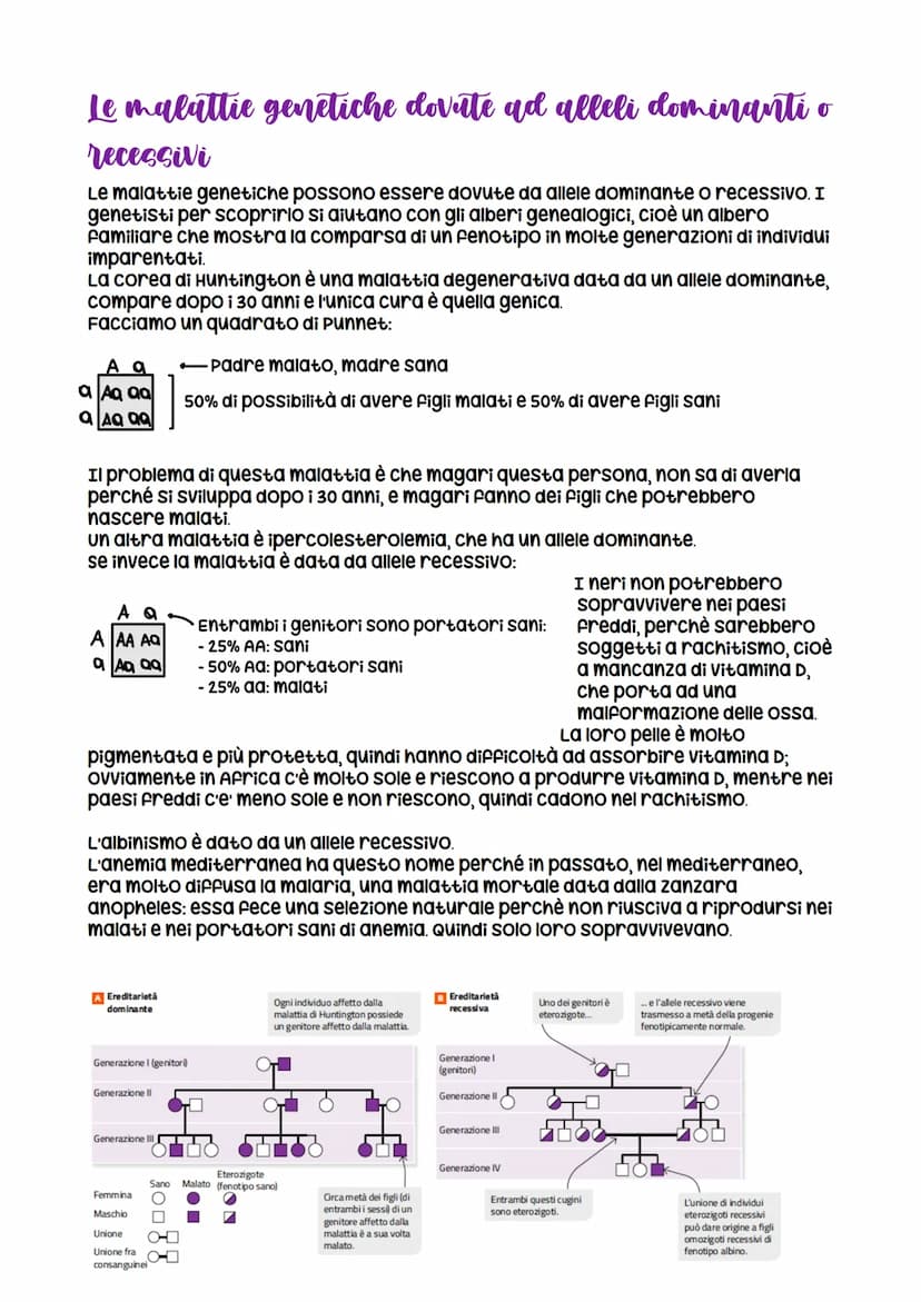 Da Mendel ai modelli di ereditarieta
nasce grazie a Mendel che formula
le leggi della
dominanza e della
segregazione
LEZIONE 1
verificabili
