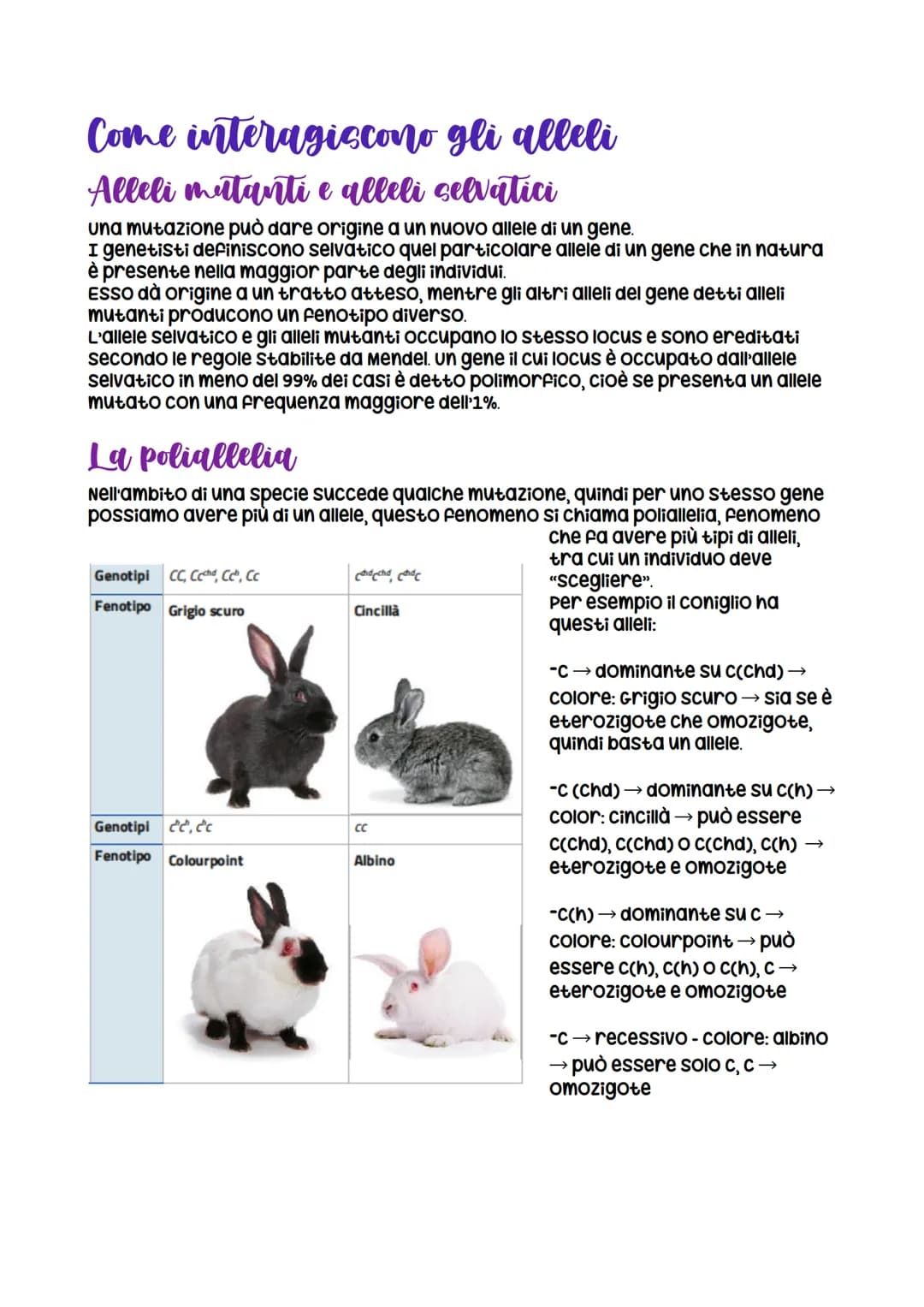 Da Mendel ai modelli di ereditarieta
nasce grazie a Mendel che formula
le leggi della
dominanza e della
segregazione
LEZIONE 1
verificabili
