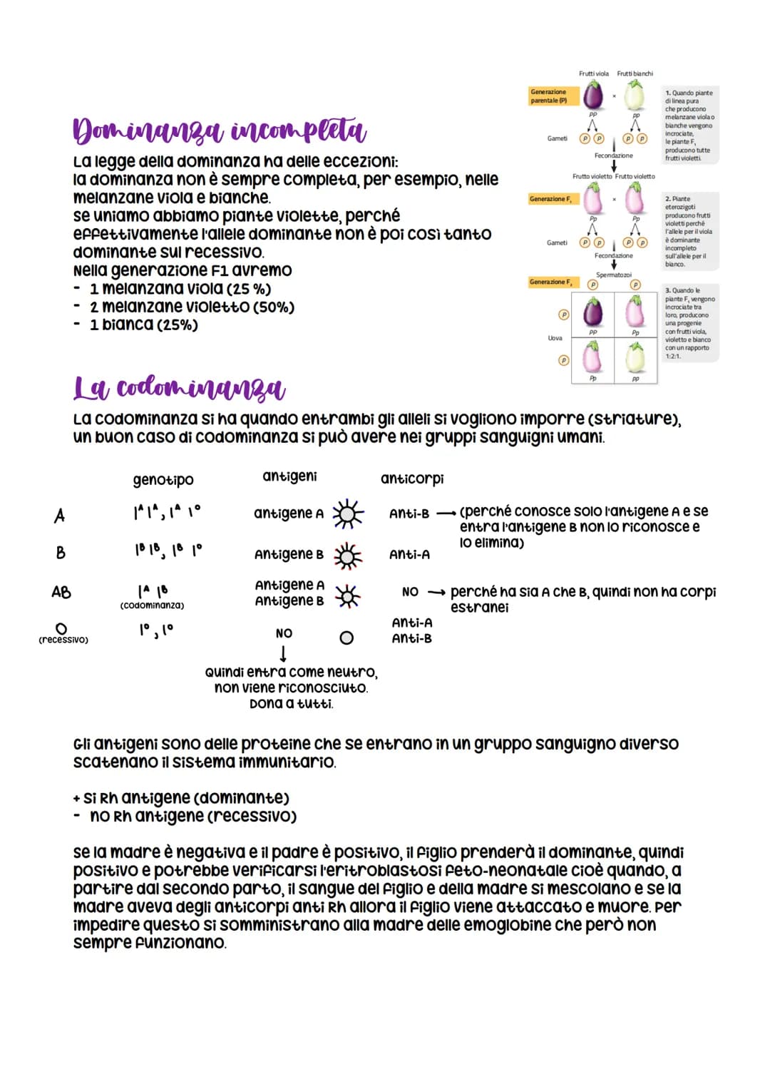 Da Mendel ai modelli di ereditarieta
nasce grazie a Mendel che formula
le leggi della
dominanza e della
segregazione
LEZIONE 1
verificabili
