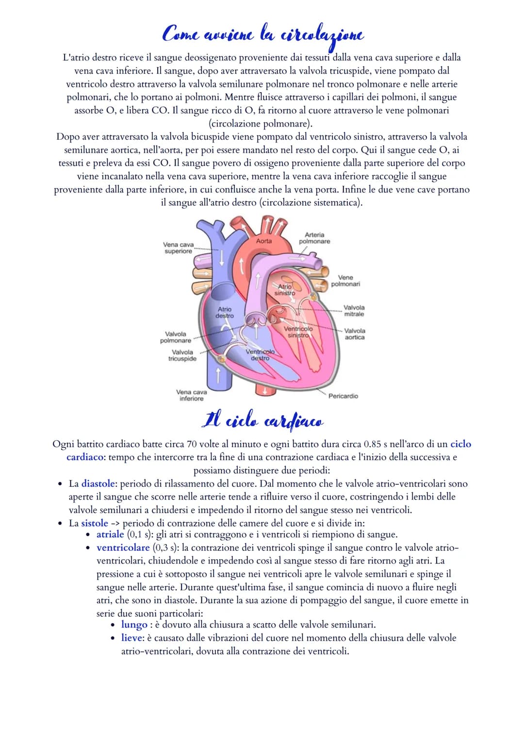 Il sistema cardiovascolare
Il sistema cardiovascolare è formato da un cuore (ovvero il muscolo cardiaco) e da un sistema di vasi
sanguigni (